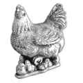 zwierzeta