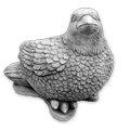 zwierzeta