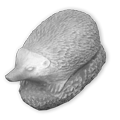 zwierzeta