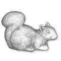 zwierzeta