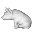 zwierzeta